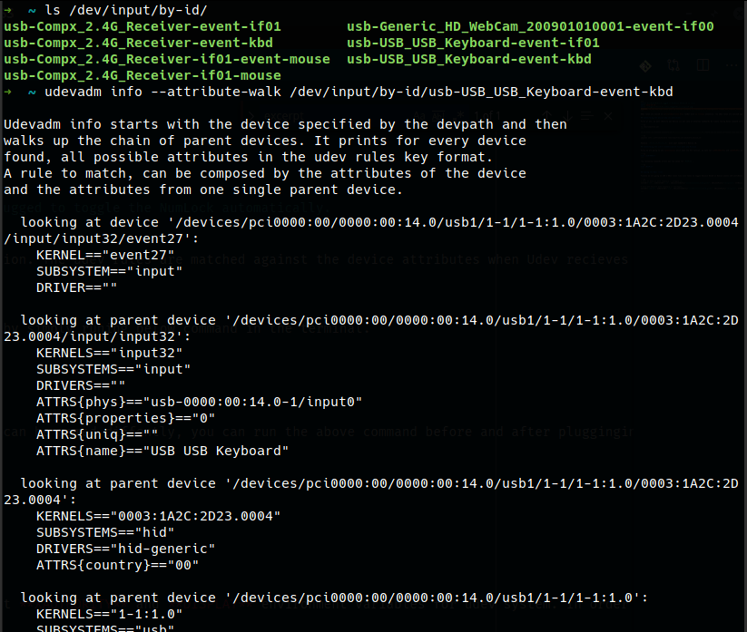 udevadm info of an external keyboard